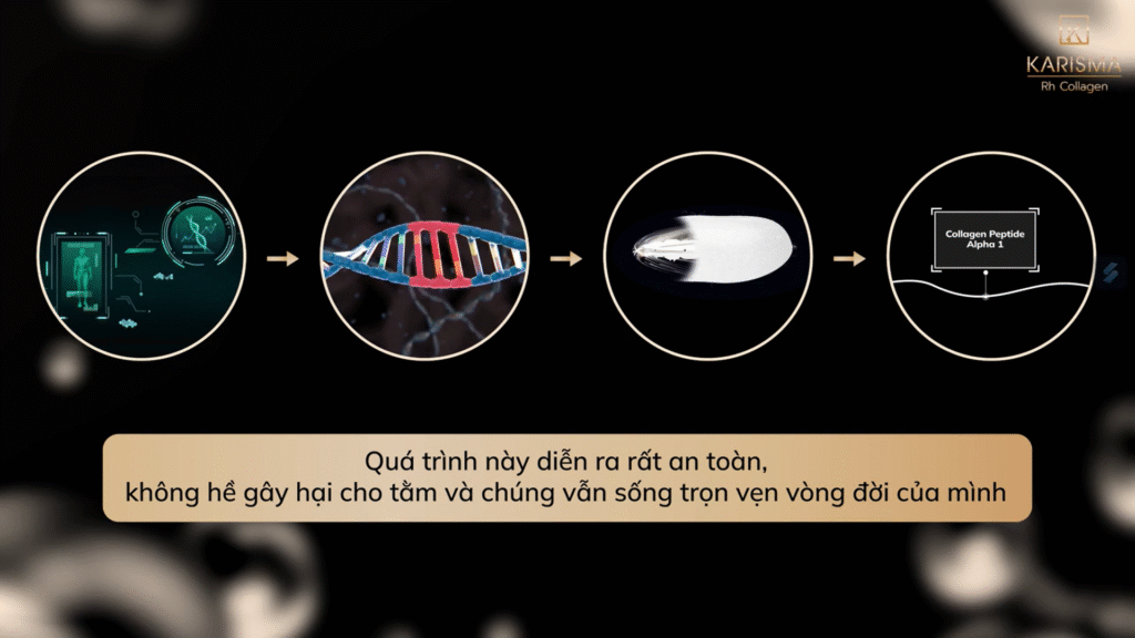 Tiêm Karisma có tác dụng gì hỗ trợ phục hồi da với hiệu quả sinh học, đồng thời Cách tiêm Karisma chuyên nghiệp đảm bảo an toàn và đạt hiệu quả điều trị lâu dài.