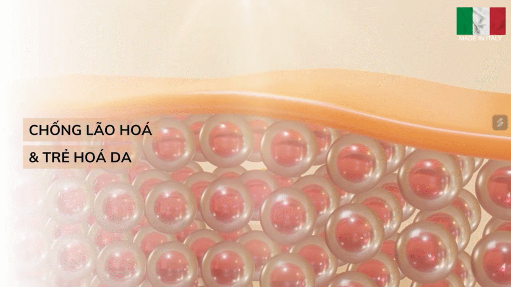 Bằng cách giải thích chi tiết qua hình minh họa, tác dụng của tiêm BAP Karisma đã kích thích sinh học tự nhiên của da, trong khi công dụng của tiêm Karisma với sẹo rỗ giúp cải thiện độ mịn và đàn hồi của da.