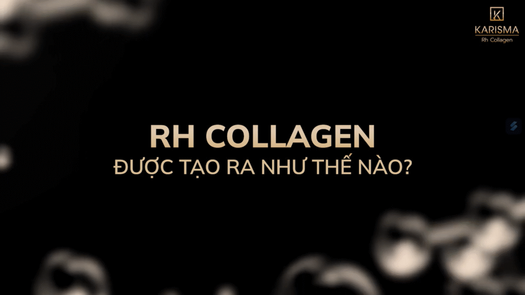 Karisma Rh Collagen giá bao nhiêu: Quá trình tăng sinh collagen dưới tác động nguyên bào sợi chứng minh hiệu quả điều trị vượt trội và khẳng định giá trị của sản phẩm trong lĩnh vực thẩm mỹ nội sinh. - Karisma Rh Collagen giá bao nhiều