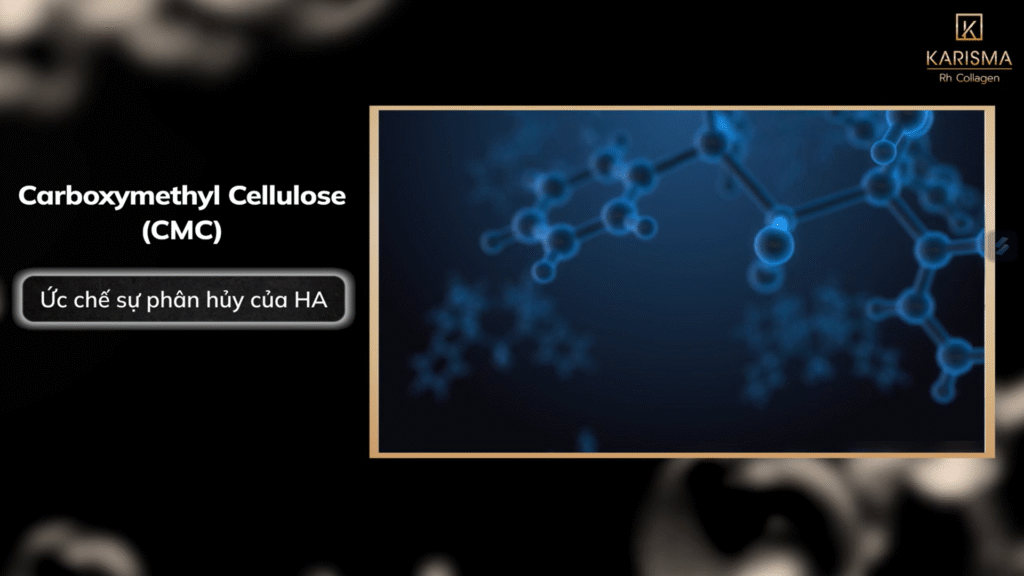 Karisma Rh Collagen - Quy trình sinh học từ tằm